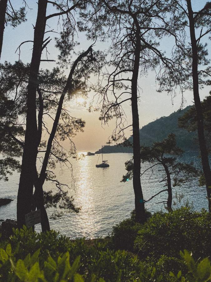 Kabak Uetopya Kamp Faralya Eksteriør billede