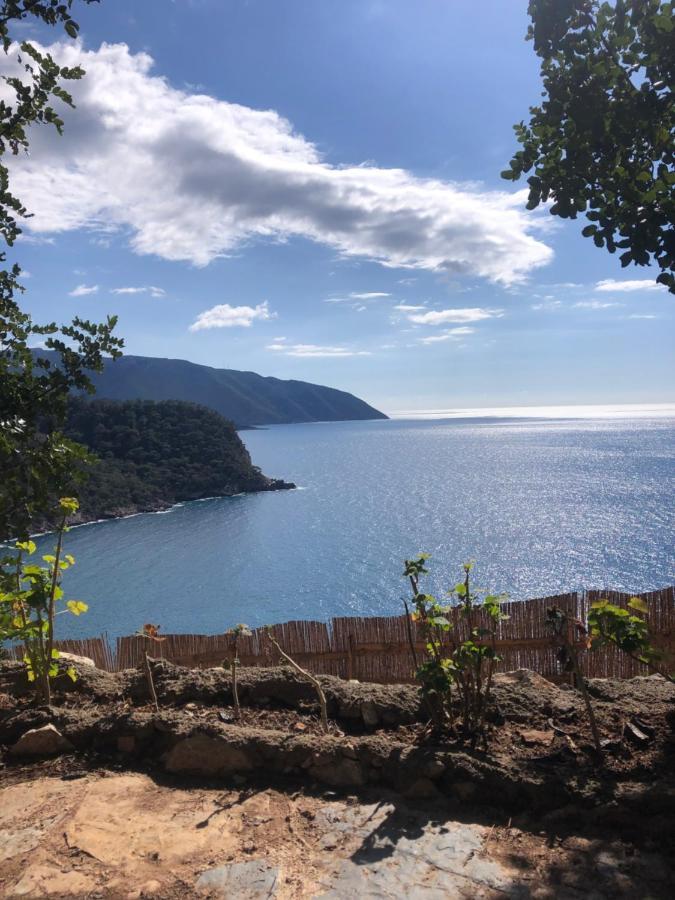 Kabak Uetopya Kamp Faralya Eksteriør billede